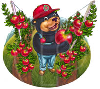 fruit bear illustration